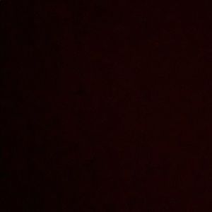 Meet your Posher, Kailey